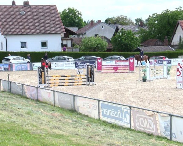 Reitturnier Mallersdorf-Pfaffenberg/Ndb. 2025