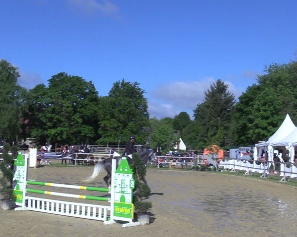 Reitturnier Niederbergheim 2025