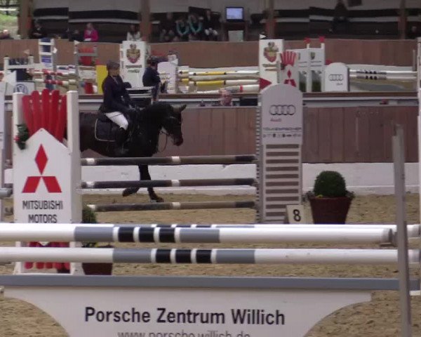 Krefeld - Reitanlage Kühnen, Junge-Pferde-Turnier 2014
