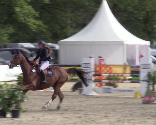Reitturnier Bremen - Reitanlage Forkert 2025