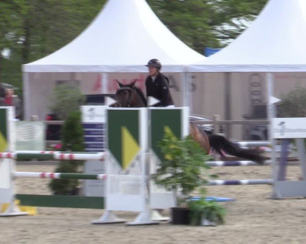 Reitturnier Bremen - Reitanlage Forkert 2025
