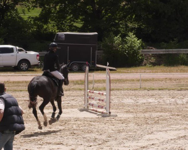 Reitturnier Heiligenwald 2025