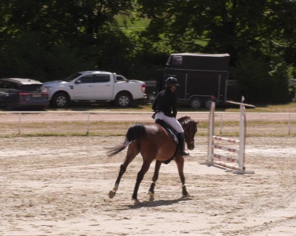 Reitturnier Heiligenwald 2025