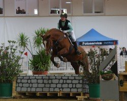 Zuchtstute Formás Füles (Ungarisches Warmblut, 2005, von Formas I-5-2)