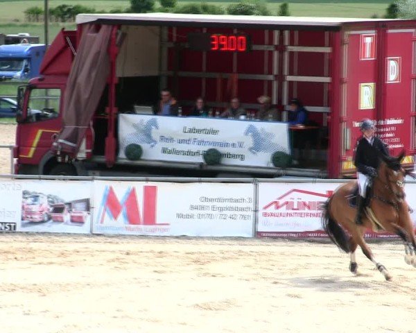 Reitturnier Mallersdorf-Pfaffenberg/Ndb. 2025