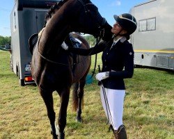 dressage horse Mondfee 18 (German Sport Horse, 2016, from Morricone)