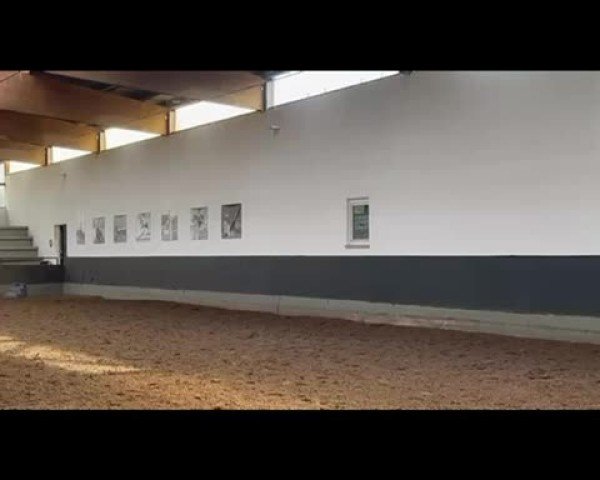 Video of Don Maresco