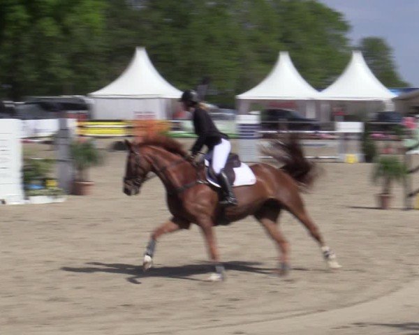 Reitturnier Bremen - Reitanlage Forkert 2025