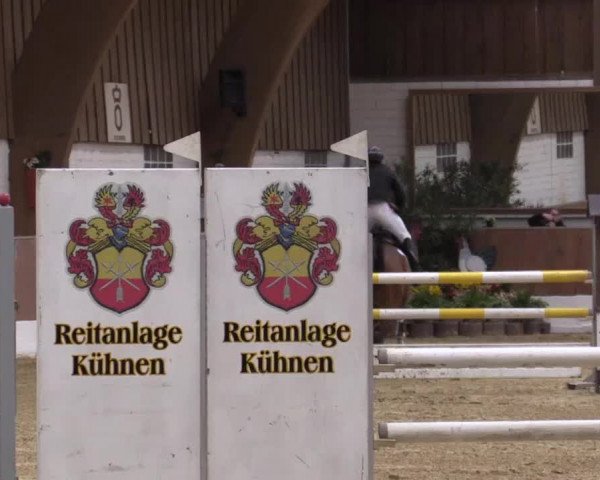 Krefeld - Reitanlage Kühnen, Junge-Pferde-Turnier 2014