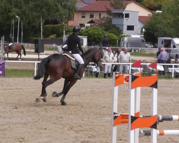 Reitturnier Heiligenwald 2025