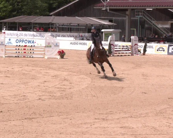 Reitturnier Ranshofen - Braunau am Inn 2025