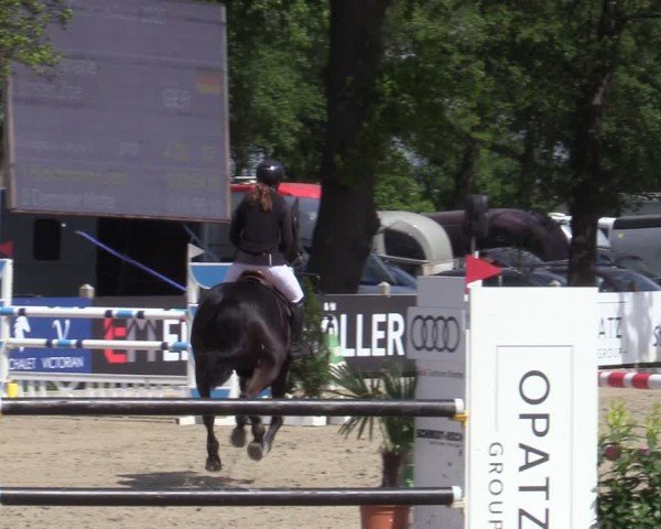 Reitturnier Bremen - Reitanlage Forkert 2025