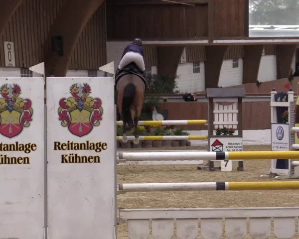 Krefeld - Reitanlage Kühnen, Junge-Pferde-Turnier 2014