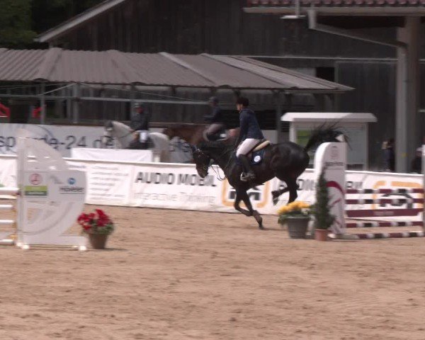 Reitturnier Ranshofen - Braunau am Inn 2025