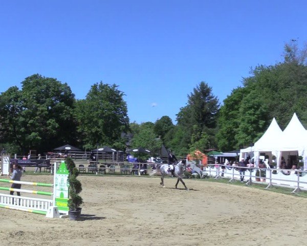 Reitturnier Niederbergheim 2025