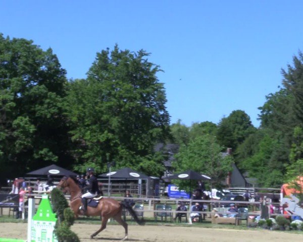 Reitturnier Niederbergheim 2025