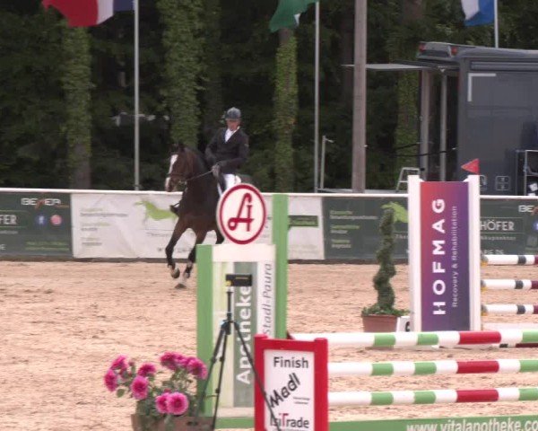 Reitturnier Ranshofen - Braunau am Inn 2025
