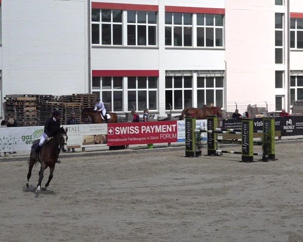 Reitturnier Sulgen 2025