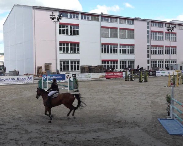 Reitturnier Sulgen 2025