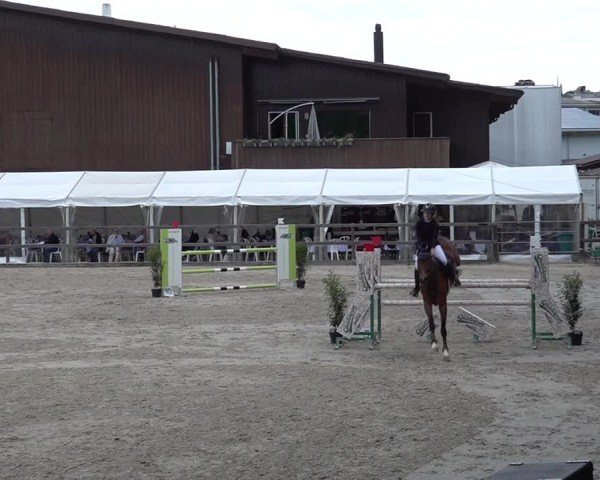 Reitturnier Sulgen 2025