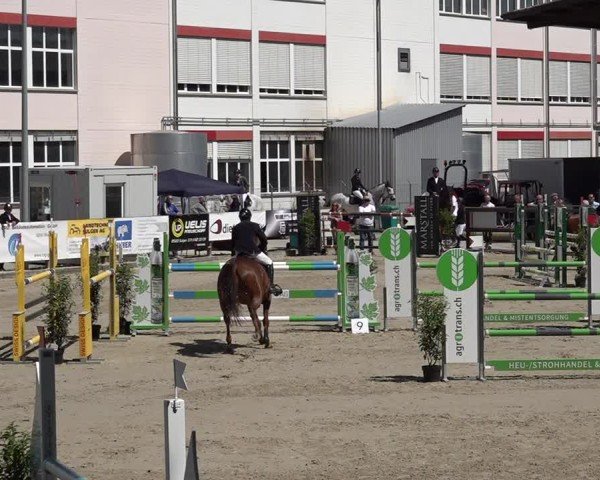 Reitturnier Sulgen 2025