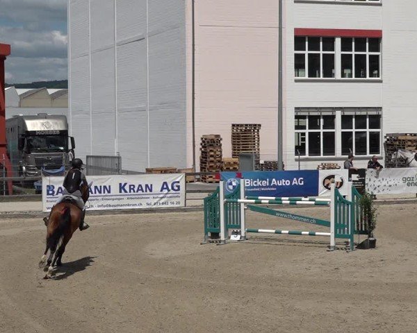 Reitturnier Sulgen 2025