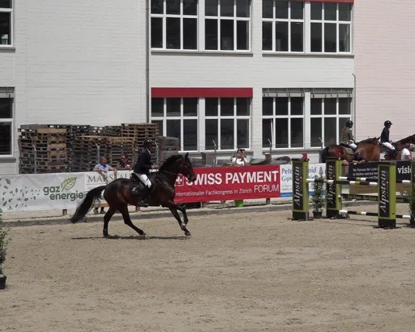 Reitturnier Sulgen 2025
