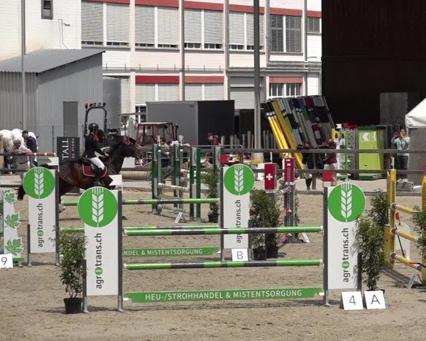 Reitturnier Sulgen 2025