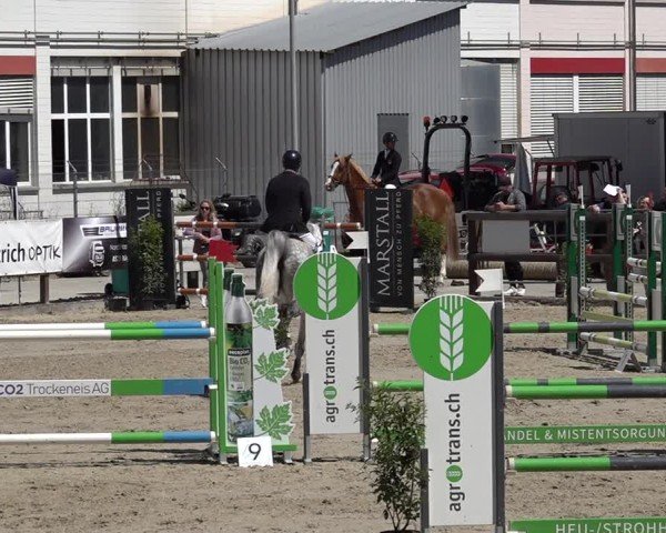 Reitturnier Sulgen 2025