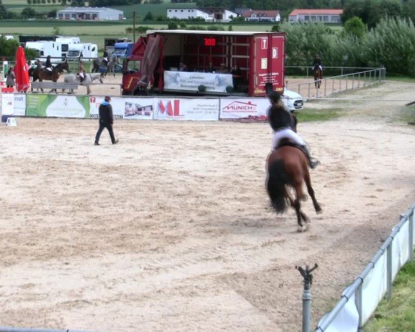 Reitturnier Mallersdorf-Pfaffenberg/Ndb. 2025