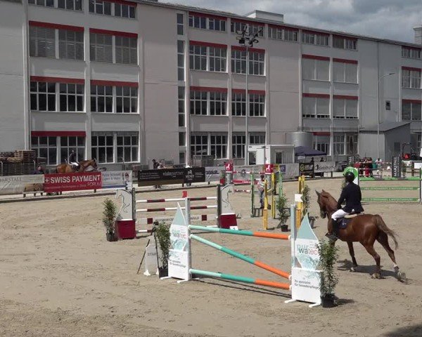 Reitturnier Sulgen 2025