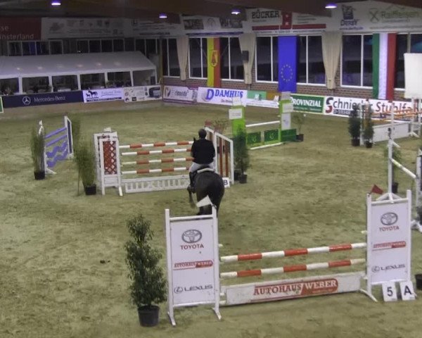 Rosendorf-Classics Seppenrade 2014