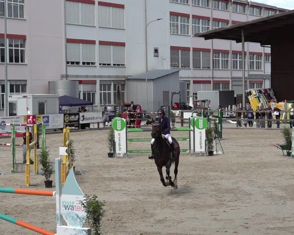 Reitturnier Sulgen 2025