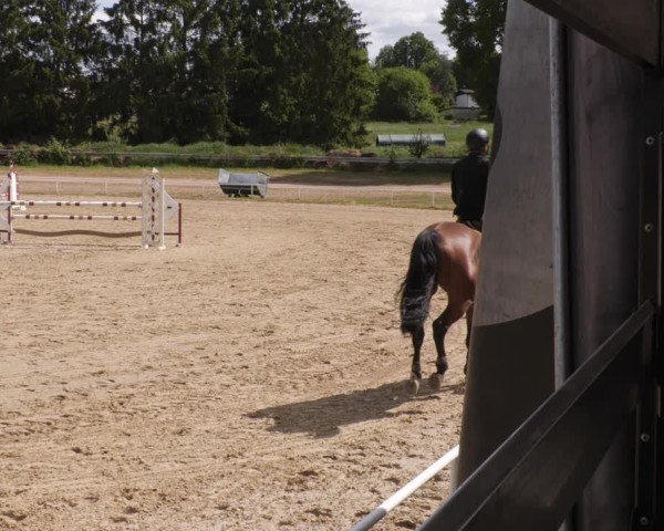 Reitturnier Heiligenwald 2025