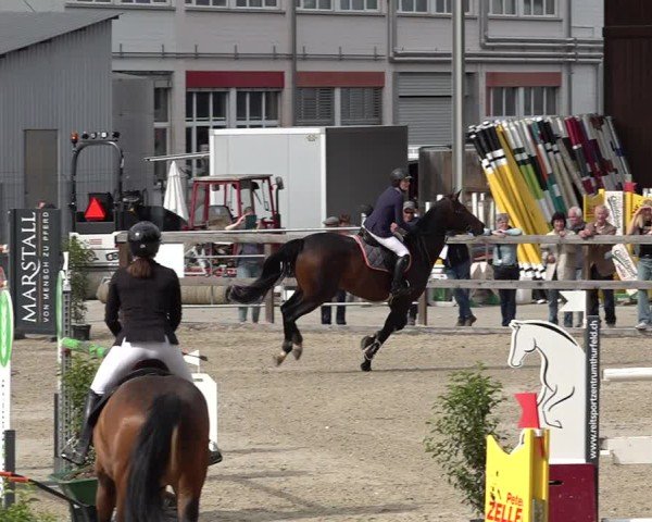 Reitturnier Sulgen 2025