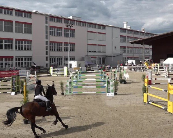 Reitturnier Sulgen 2025