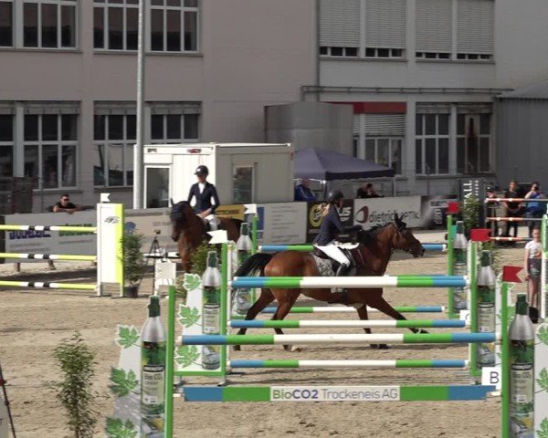 Reitturnier Sulgen 2025