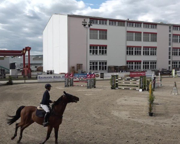 Reitturnier Sulgen 2025