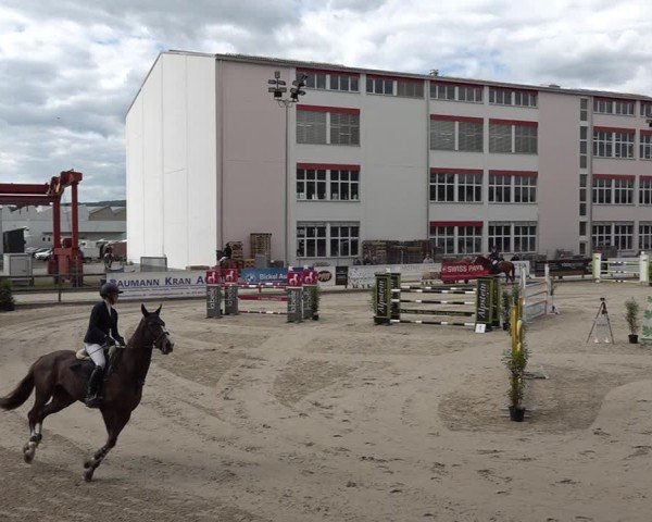 Reitturnier Sulgen 2025