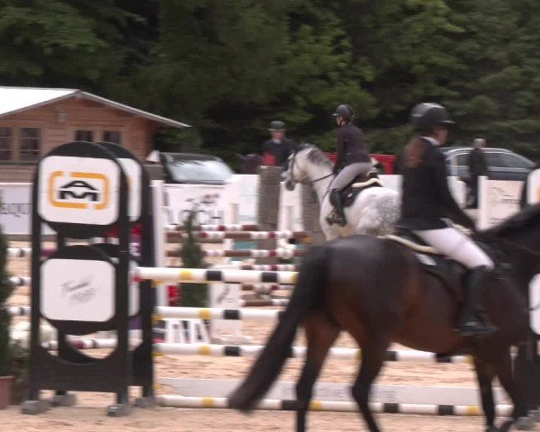 Reitturnier Ranshofen - Braunau am Inn 2025