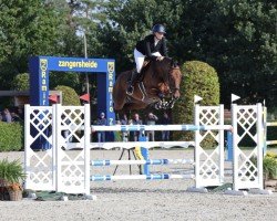 jumper Mascot van de Berghoeve Z (Zangersheide riding horse, 2017, from Moncler van Overis)