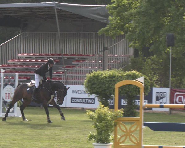 Reitturnier Bremen - Reitanlage Forkert 2025