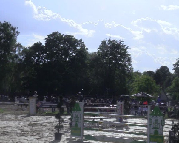 Reitturnier Niederbergheim 2025