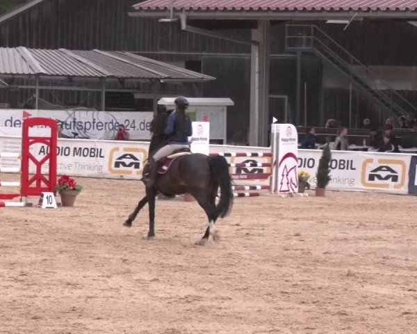 Reitturnier Ranshofen - Braunau am Inn 2025