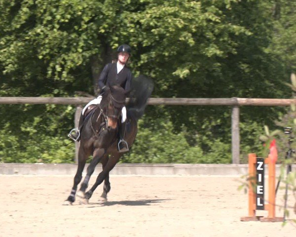 Reitturnier Erkrath - Uhlenhof 2025