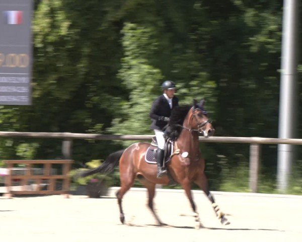 Reitturnier Erkrath - Uhlenhof 2025