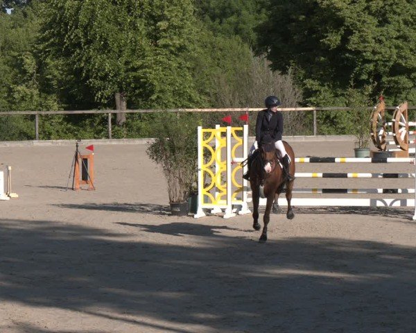 Reitturnier Erkrath - Uhlenhof 2025