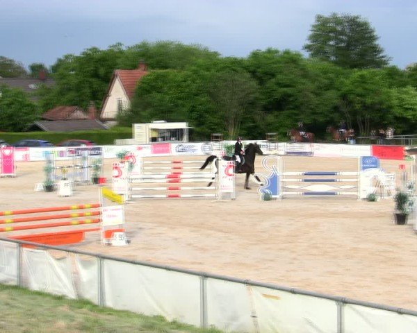Reitturnier Mallersdorf-Pfaffenberg/Ndb. 2025