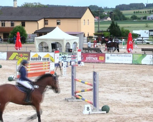 Reitturnier Mallersdorf-Pfaffenberg/Ndb. 2025