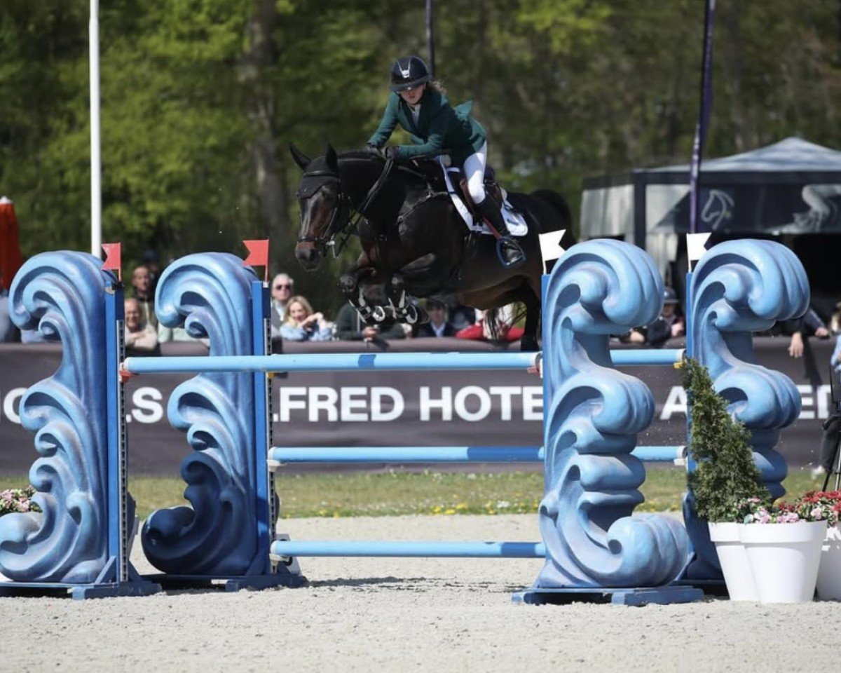 Springpferd Caddie Z (Zangersheide Reitpferd, 2015, von Cicero Z van Paemel)